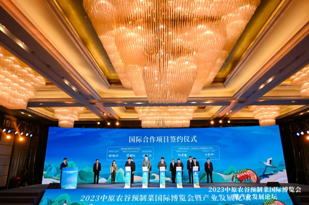 营养餐的设计_生物营养餐设计_营养餐的设计方案